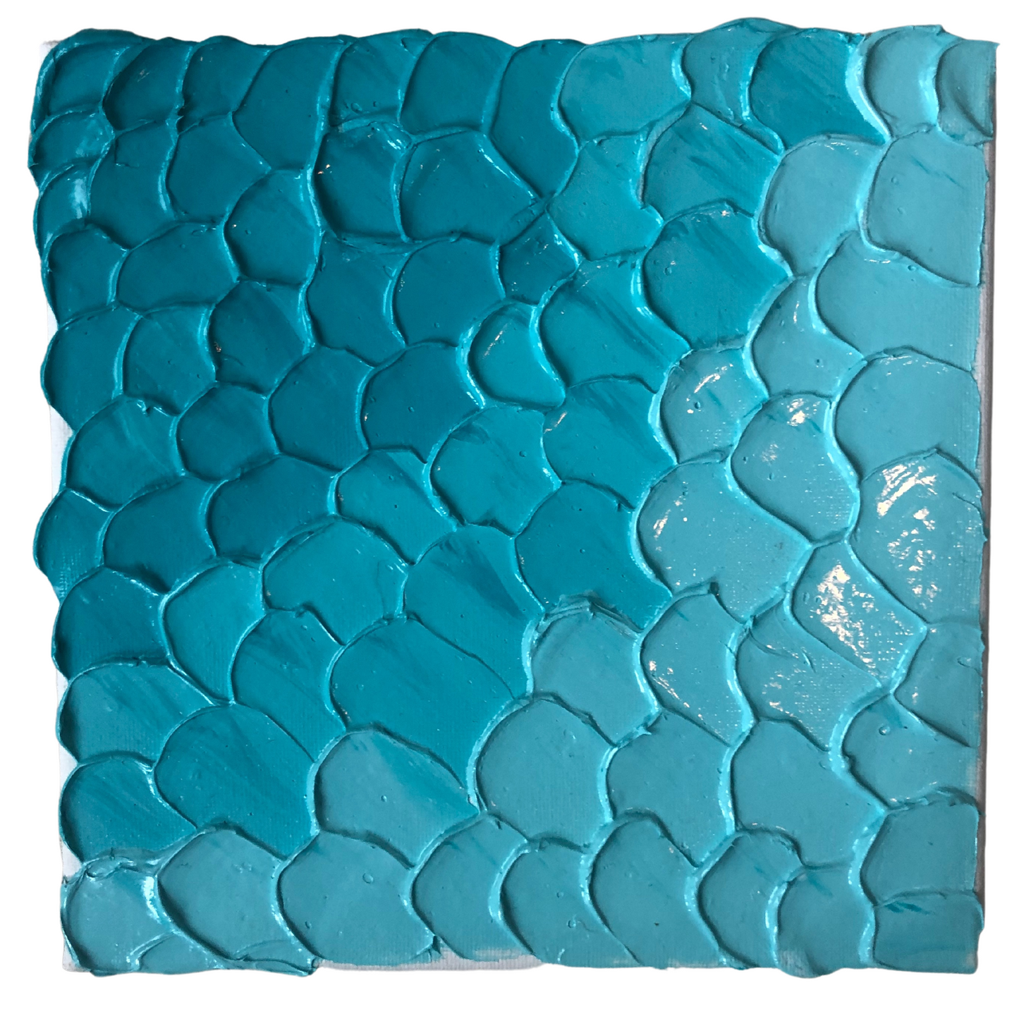 Mermaid Tail 8 x 8